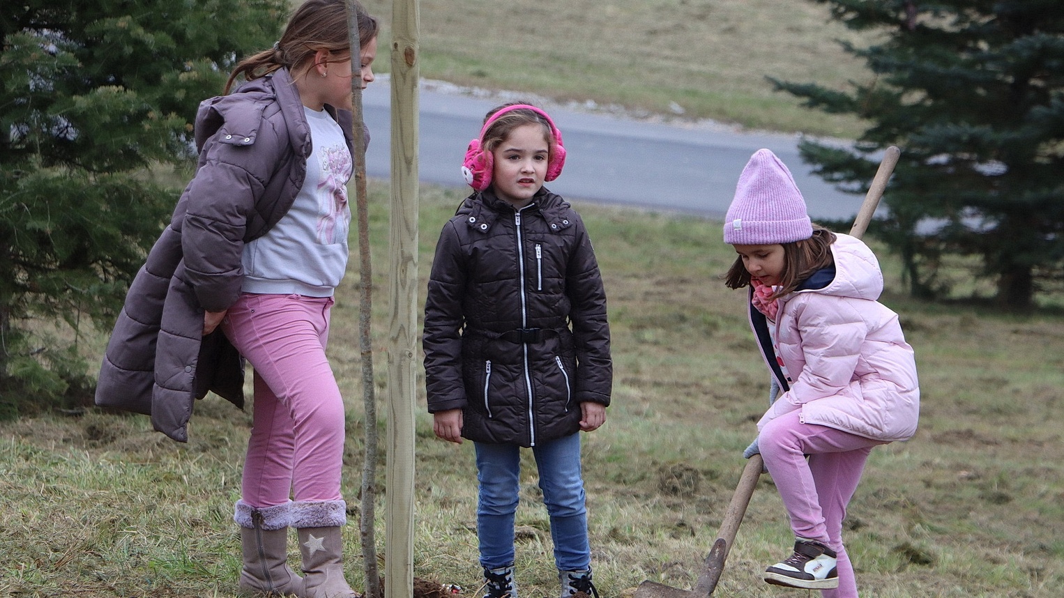 Aleja prvašića niknula u Črnilovcu 