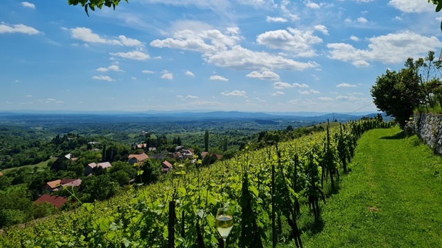 Održan drugi Plešivički vinorel